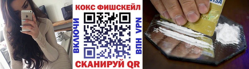 MEGA зеркало  Фролово  Cocaine Fish Scale  что такое наркотик 