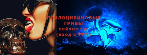 мяу мяу мука Арсеньев