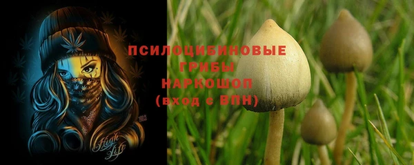 мяу мяу мука Арсеньев