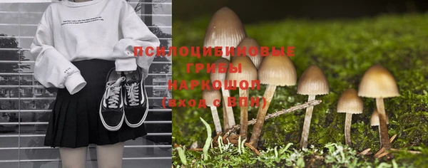 мяу мяу мука Арсеньев